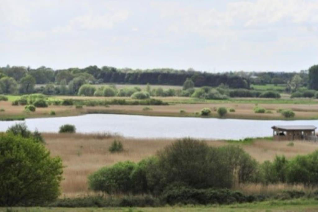 شقة Turnstone - Suffolk Coastal Escapes Pakefield المظهر الخارجي الصورة
